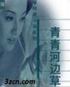 青青河边草TXT全集封面