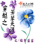 穿越之芳草天涯TXT全集封面