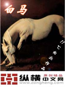 白马TXT全集封面