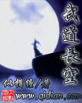 武道長空TXT全集封面