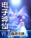 电子神仙TXT全集封面