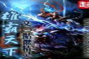 雄霸天下TXT全集封面