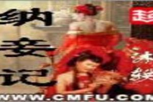 纳妾记TXT全集封面
