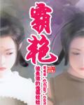 霸艳TXT全集封面