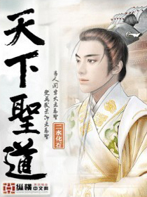 天下圣道TXT全集封面