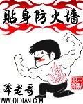 贴身防火墙TXT全集封面