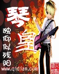 琴皇TXT全集封面