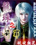 龙珠之有罪TXT全集封面