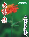大帝传TXT全集封面