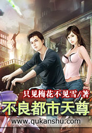 不良都市天尊TXT全集封面
