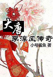 大唐李淳风传奇TXT全集封面