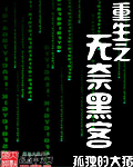 重生之无奈黑客TXT全集封面
