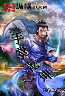手掌乾坤TXT全集封面