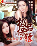 极品保镖TXT全集封面