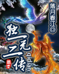 独一无二传TXT全集封面