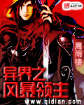 异界之风暴领主TXT全集封面
